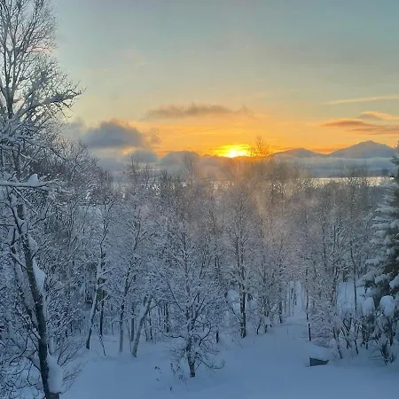 Unique For Unforgettable Adventure, Perfect For The Whole Family,4 Bedroom And 2 Bath Villa