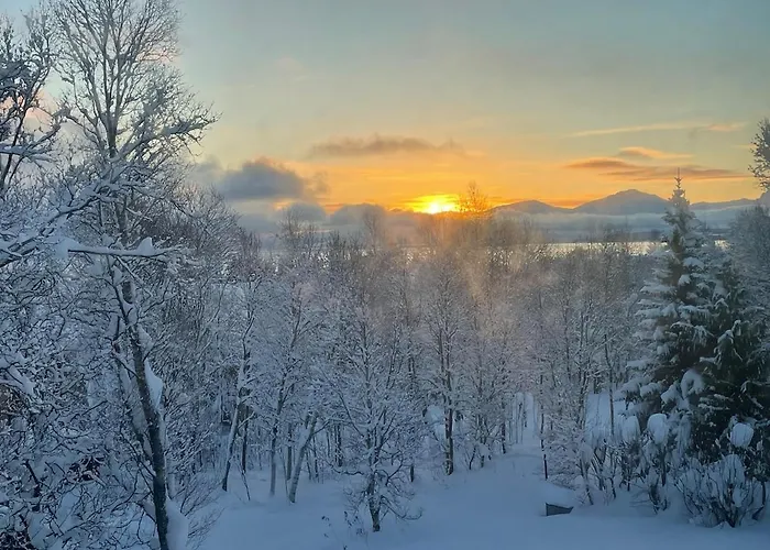 Unique For Unforgettable Adventure, Perfect For The Whole Family,4 Bedroom And 2 Bath Villa