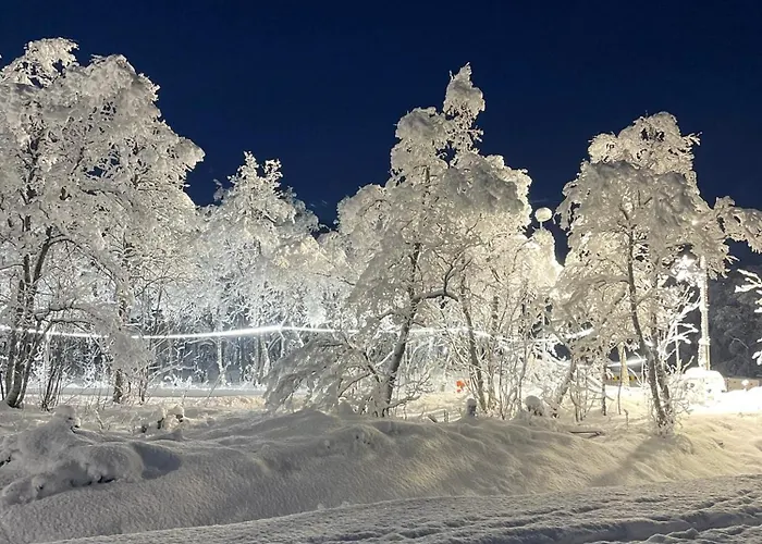 Villa Unique For Unforgettable Adventure, Perfect For The Whole Family,4 Bedroom And 2 Bath Tromsø