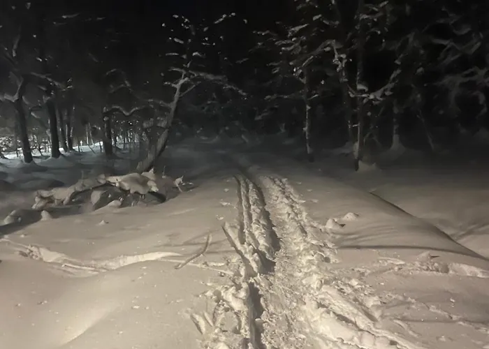 Unique For Unforgettable Adventure, Perfect For The Whole Family,4 Bedroom And 2 Bath